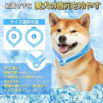 犬用クールネック　オーダーページ ICE RING SUO 犬用 ネッククーラー Lサイズ 2025モデル アイ